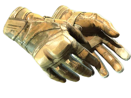 Moto Gloves | Transport