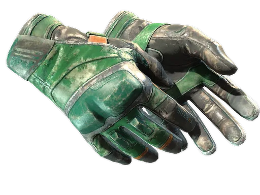 Moto Gloves | Turtle