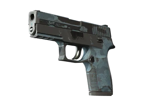 P250 | Forest Night