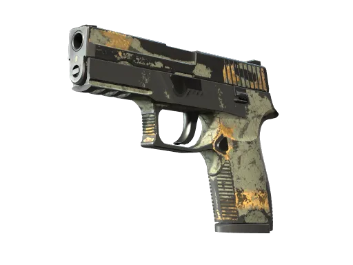 P250 | Modern Hunter