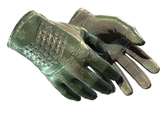 Driver Gloves | Racing Green