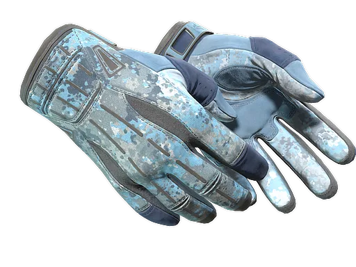 ★ Sport Gloves | Frosty (Factory New)