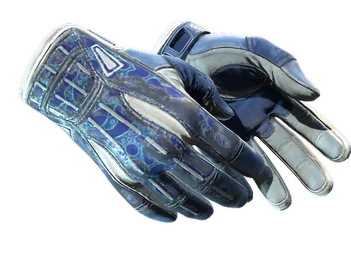 Sport Gloves | Amphibious