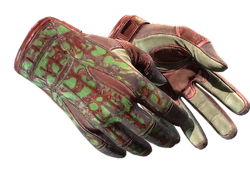 Sport Gloves | Bronze Morph