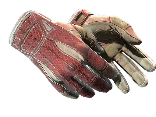 Sport Gloves | Slingshot