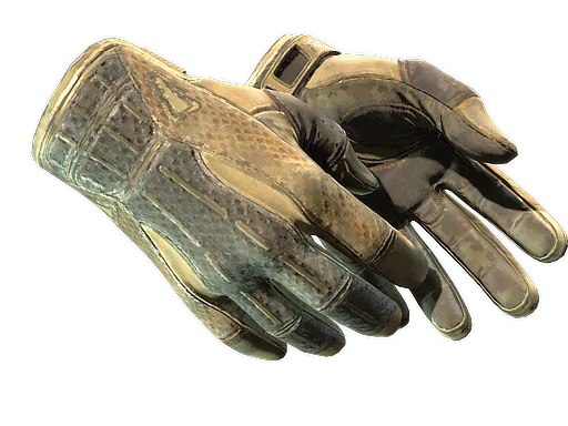 Sport Gloves | Arid