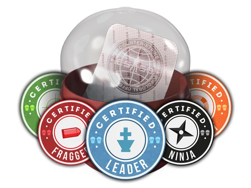 Team Roles Capsule