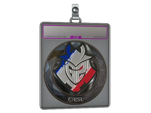 Sticker Slab | G2 Esports (Foil) | Katowice 2019