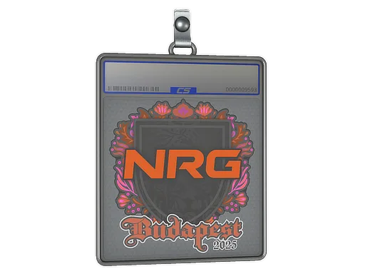 Sticker Slab | NRG | Budapest 2025