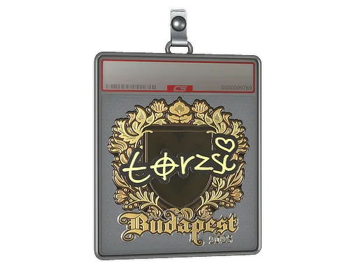 Sticker Slab | torzsi (Gold) | Budapest 2025