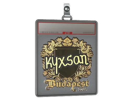 Sticker Slab | kyxsan (Gold) | Budapest 2025