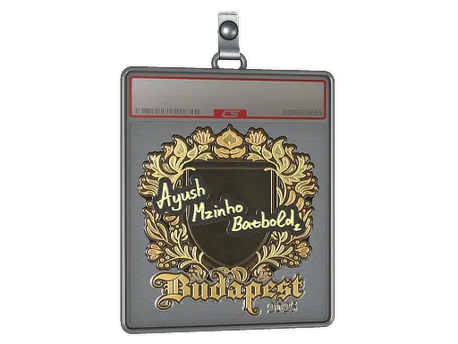 Sticker Slab | mzinho (Gold) | Budapest 2025