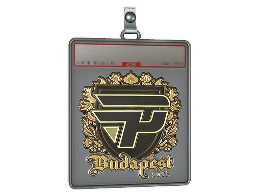 Sticker Slab | paiN Gaming (Gold) | Budapest 2025