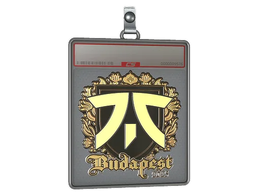 Sticker Slab | fnatic (Gold) | Budapest 2025