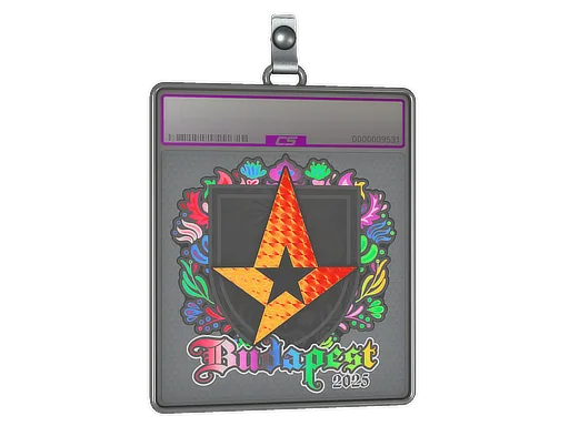Sticker Slab | Astralis (Holo) | Budapest 2025