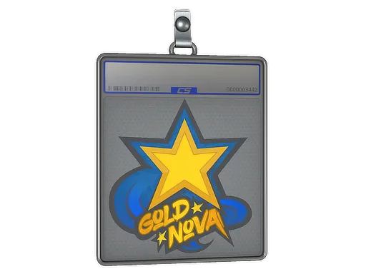 Sticker Slab | Gold Nova