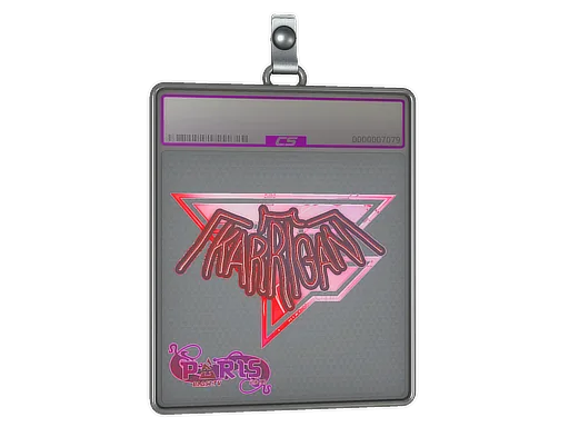 Sticker Slab | karrigan (Holo) | Paris 2023